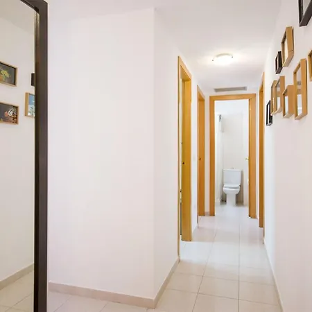 Miquel 1 - Piso Con Parking Y Wifi En El Centro Apartment *